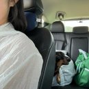 CU 시흥목감점 | 일상포토덤프 6주차 2복길 2마라도수산 2성수팝업