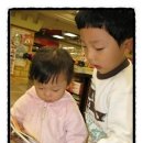 홍진농장 이미지