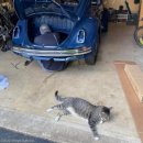 오지랖차수리 이미지