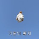준영상사 | 7월과 비키니씨티와 묵호 그리고 나, 이 넷의 만남 너무 기쁘다(7-上)