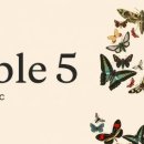 신화엔지니어링 - 여수시 덕양로 114 | ② 출시 3일 만에 사라진 가장 강력한 AI, 22일 만에 돌아온 이유