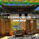 영천 은해사 운부암 금동보살좌상 | [경북 영천] 은해사 산책, 운부암 은행나무 대구근교드라이브