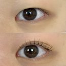 한결 | 노원 마들역 속눈썹펌, 무쌍도 컬 살아나는 한결뷰티 후기