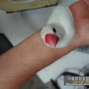 문조약국 이미지