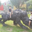 민브라더스 이미지