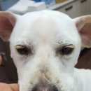 문덕동물병원 이미지