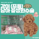 그랜드 동물병원 이미지