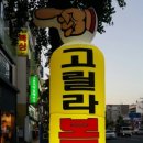 고릴라 복싱 이미지