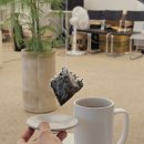 사림동311 | 창원 사림동 공부/작업하기 좋은 카페 잇츠커피