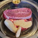 검은소새끼 이미지