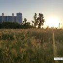 상동주공아파트 이미지