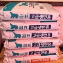 칸나 | [강남역 점심 맛집] 닭구이와 쫄깃한 24시간 숙성 자가제면의 만남! 주말 칸나칼국수 후기