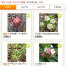 예일조경 이미지
