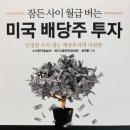 잠든 사이 월급 버는 미국 배당주 투자 - 소수몽키, 베가스풍류객, 윤재홍