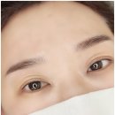 앨리스브로우 이미지