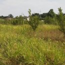 성상1리마을회관 이미지