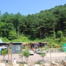 춘천마당발펜션 네이버블로그