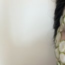 영관농장 | 영주 마미편한세상 김미영 관리사님 솔직후기
