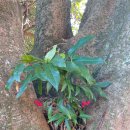 송정섭농장 | 오라버니 꿈에농장 투어