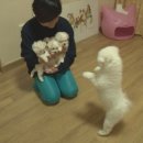 공세농장 이미지