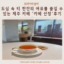 도심 속 티 한잔의 여유를 즐길 수 있는 제주 카페 &#39;카페 선정&#39; 후기