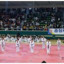 창신태권도체육관 이미지