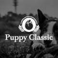 퍼피클래식 이미지