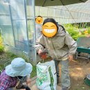 경언농장 이미지