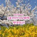 동산기업(주) - 수원시 장안구 | 이번 주가 마지막! 인천 SK벚꽃동산 주차 지옥 피하는 법 & 방문 후기