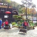 천사들의 집 이미지