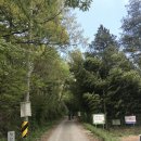 몽탄역 | 무안 드라이브 코스!! #달산 저수지 #피크닉공원#몽탄역