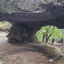 선운산농장 이미지