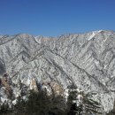 삼오1 Daum카페