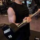 그레이짐 이미지