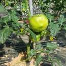 수야농장 이미지