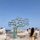 브루스템 이미지