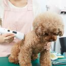 24시 송도힐 동물메디컬센터 이미지