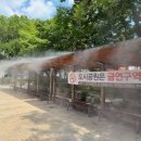 죽전중앙근린공원 | 용인특례시, 죽전중앙근린공원&amp;신정문화공원에 쿨링포그 설치 운영