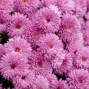 2025년 9월 두번째 가정통신문입니다. 이미지