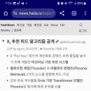 보안뉴스 티스토리