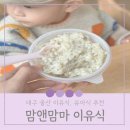 대구 울산 이유식 유아식 맘앤맘마로 아이 밥태기 극복해보세요 외출 이유식 추천