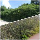 일석농장 이미지