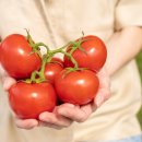 도움푸드 이미지