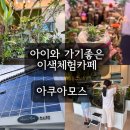 아쿠아모스 | 창원 아쿠아모스, 아이와 가기 좋은 이색 체험 카페 후기