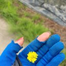 혜숙농장 이미지