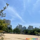 학산초등학교 병설유치원 이미지