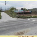 건흥농장 Daum카페