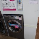 셀세탁소 이미지