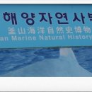 부산해양자연사박물관 이미지