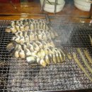 풍천장어 이미지